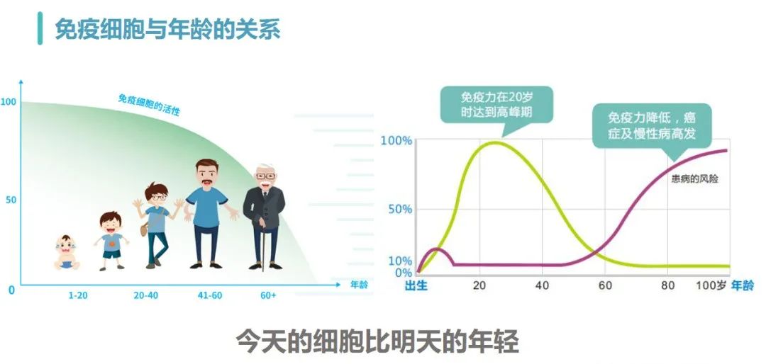 NK細胞與年齡的關(guān)系