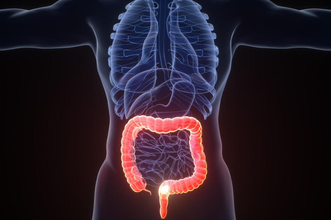 細胞免疫療法——讓“談癌色變”成為過(guò)去式