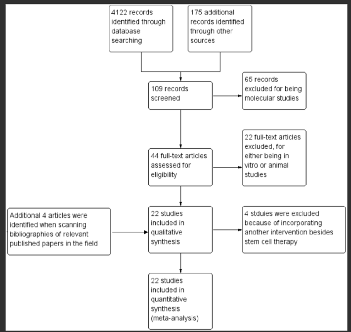 圖1.顯示記錄識別、篩選和研究納入過(guò)程的流程圖。