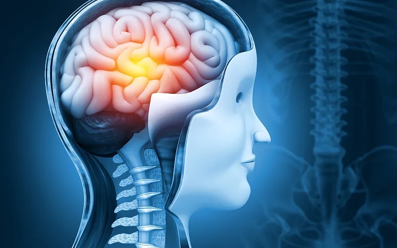 干細胞療法和大腦神經(jīng)系統疾?。赫嫦嗍鞘裁?？