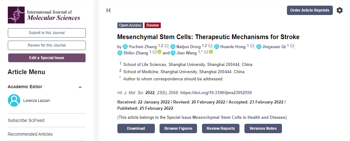 間充質(zhì)干細胞治療中風(fēng)機制