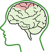 運動(dòng)皮層損傷大