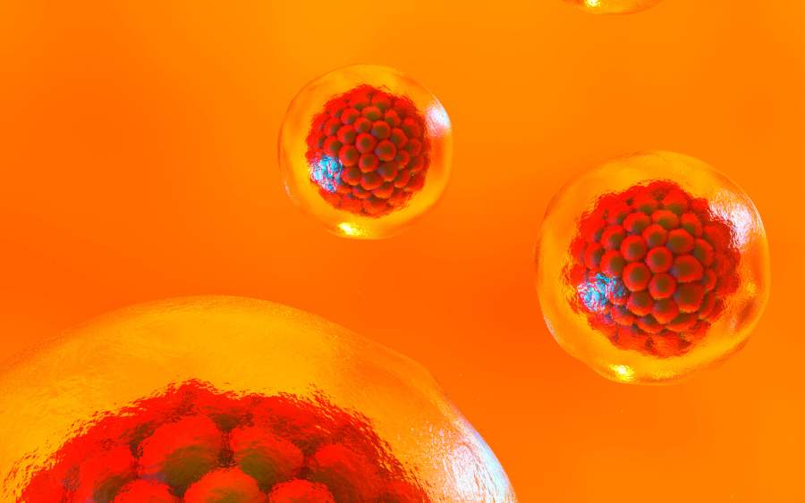 干細胞療法能持續多久？