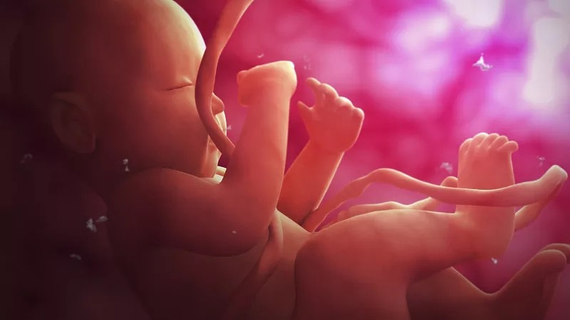 臍帶間充質(zhì)干細胞的作用和功效是什么？在哪些疾病具有臨床應用價(jià)值？