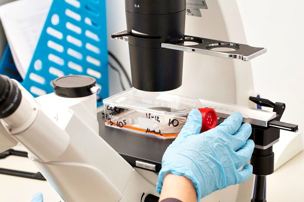 什么是干細胞？關(guān)于一系列干細胞的簡(jiǎn)短知識