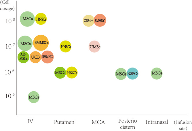 圖1：臨床試驗中細胞類(lèi)型、劑量和輸注部位之間關(guān)系的可視化
