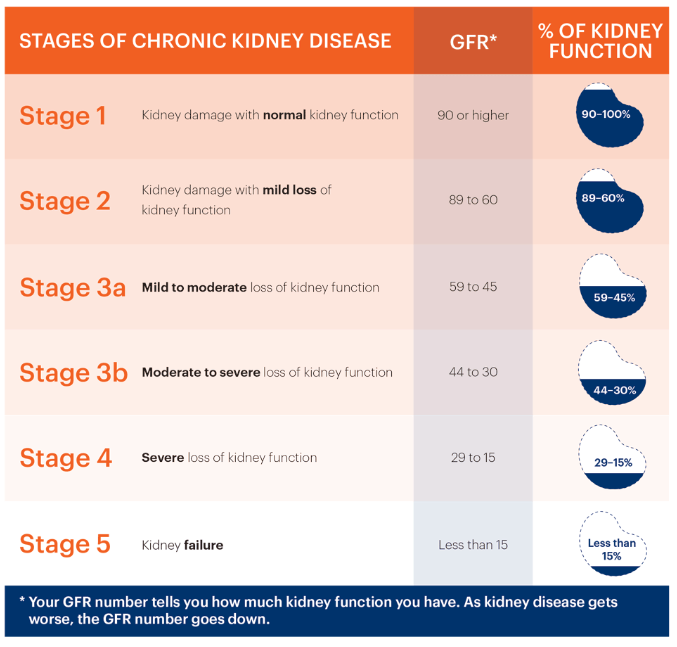 慢性腎病的階段、腎臟慢性腎病治療、腎衰竭治療費用