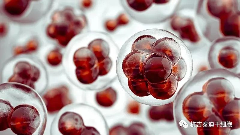 手足徐動(dòng)性腦癱的最新治療方法是什么？