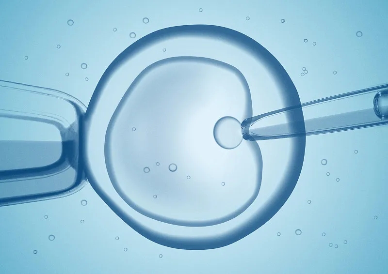 什么是干細胞移植和骨髓移植？