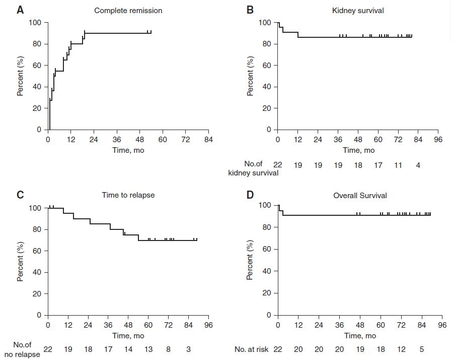 圖4：隊列中患者的完全緩解概率、腎臟存活率、復發(fā)時(shí)間和總體存活率。