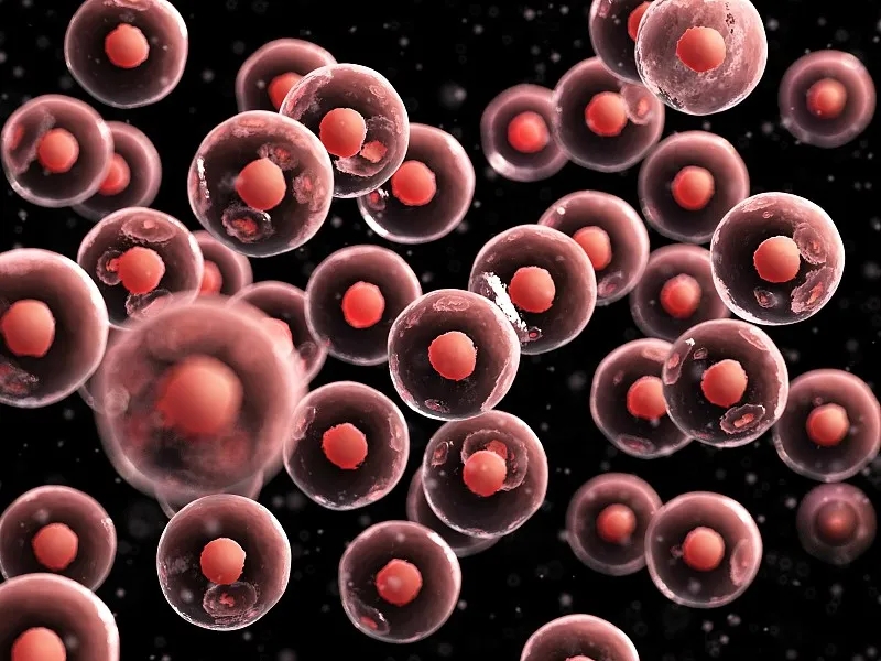 臍帶血干細胞移植有什么好處？