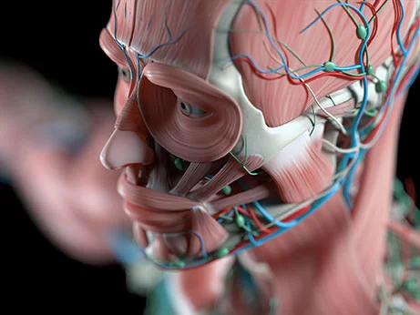 人類(lèi)是由什么構成的 人類(lèi)是由什么構成的