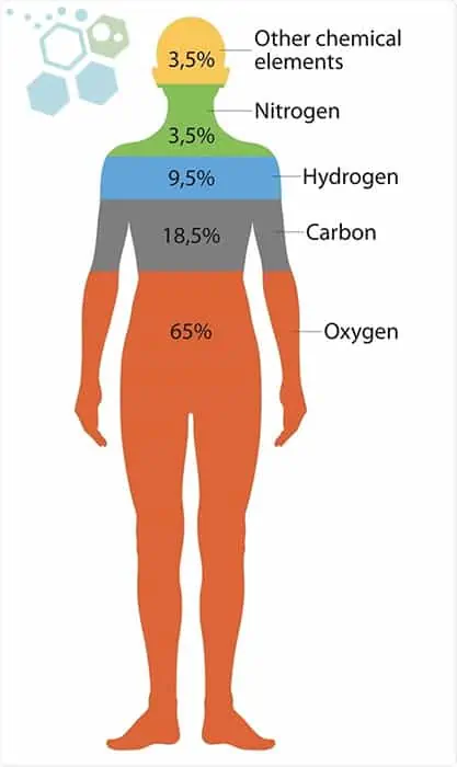 人體中最常見(jiàn)的元素 人體中最常見(jiàn)的元素