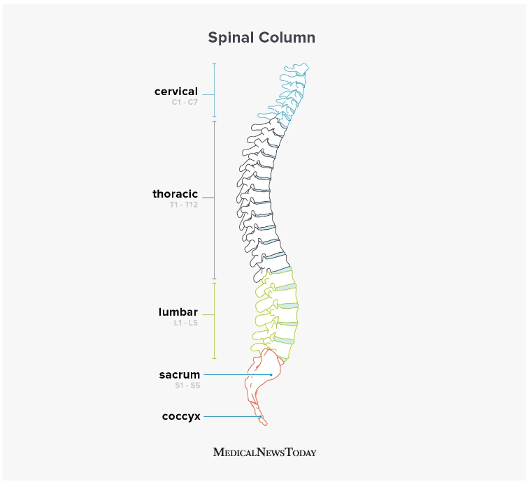 脊髓損傷的類(lèi)型