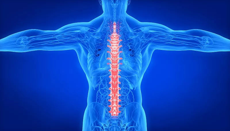 關(guān)于脊髓損傷和康復的常見(jiàn)問(wèn)題 (FAQ)