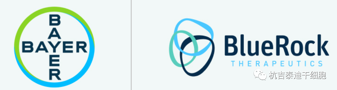 拜耳表示神經(jīng)元干細胞療法治療帕金森?。菏讉€(gè)1期臨床試驗取得積極結果