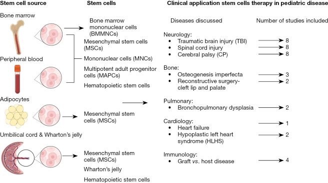 圖1：干細胞的來(lái)源和干細胞治療的臨床應用。