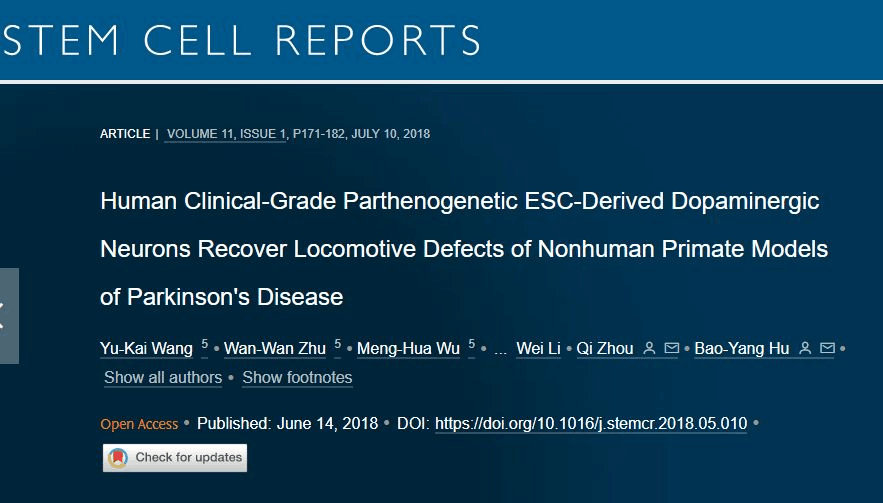 人類(lèi)臨床級孤雌生殖 ESC 衍生的多巴胺能神經(jīng)元可恢復非人類(lèi)靈長(cháng)類(lèi)動(dòng)物帕金森病模型的運動(dòng)缺陷