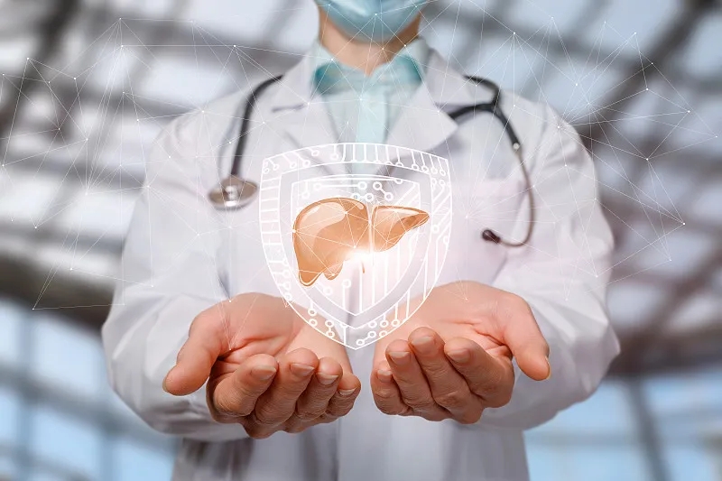 間充質(zhì)干細胞治療肝?。含F狀與展望