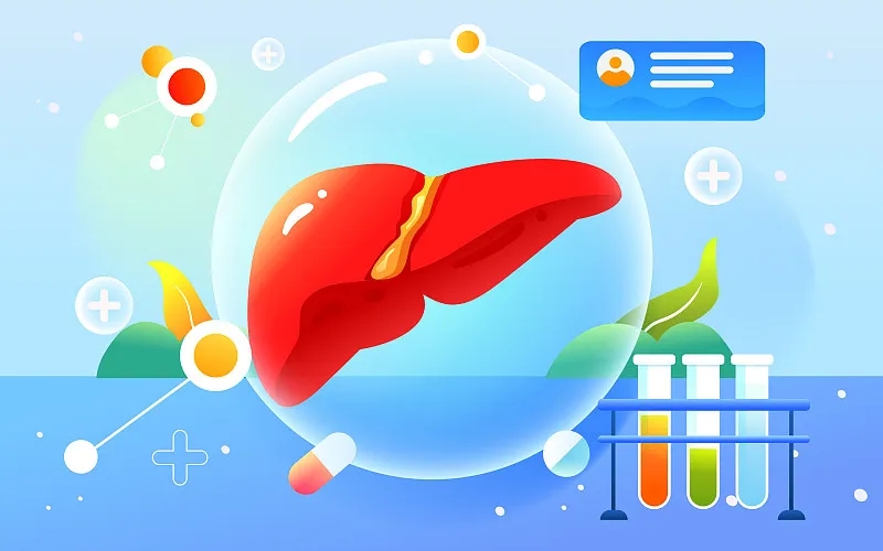 肝臟大小對我的健康有何影響？