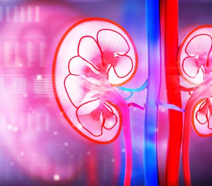 腎臟疾病的類(lèi)型有哪些？
