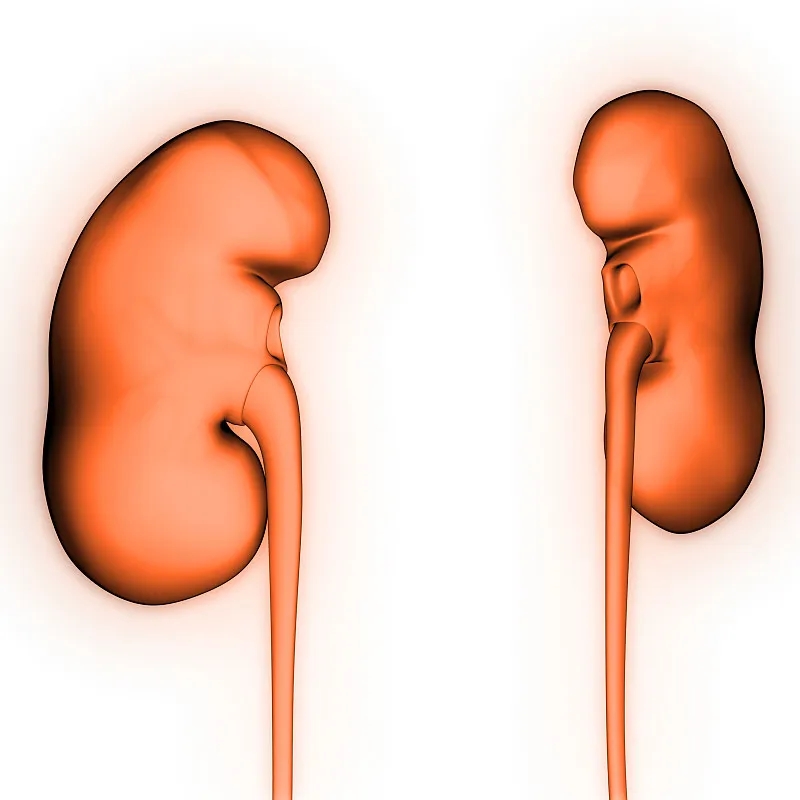 IgA腎?。喊Y狀-病因-診斷-飲食等