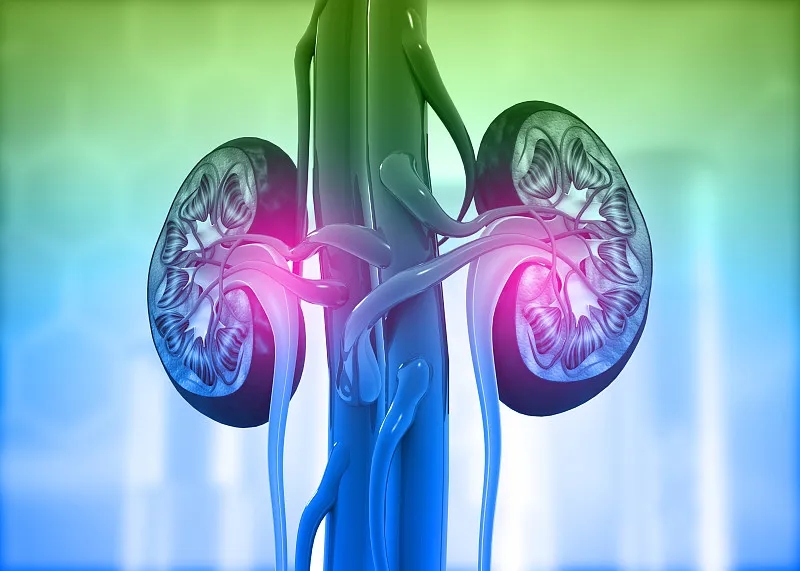 慢性腎?。喊Y狀-原因-危險因素