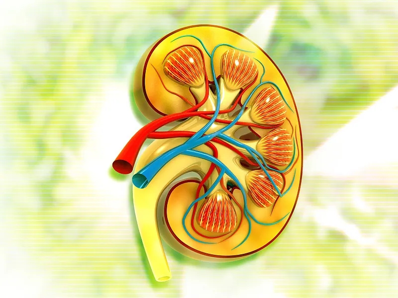 關(guān)于第3期腎病，您應該知道的一切