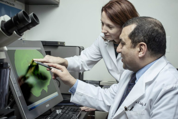 干細胞治療疾病 |  細胞療法是人類(lèi)健康的未來(lái)的原因