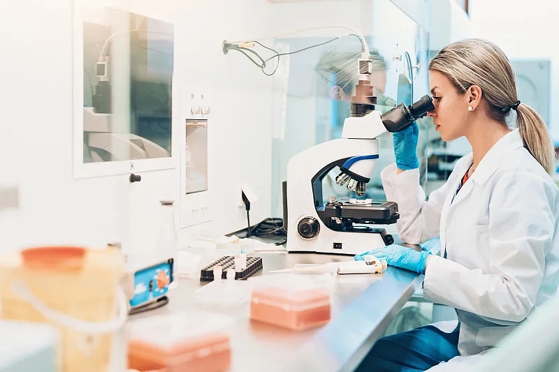 干細胞研究爭議：深入探討 (2023)