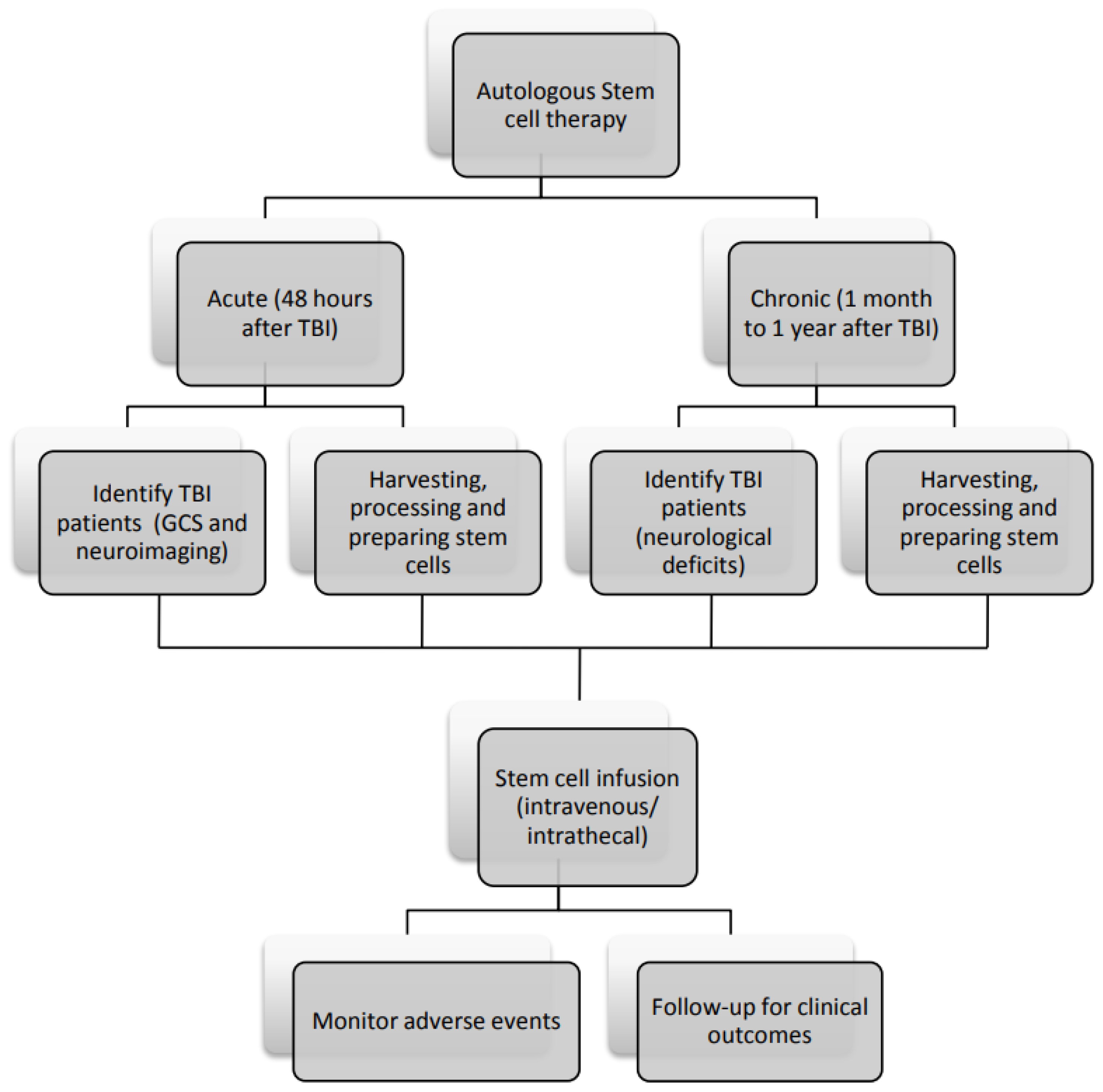 圖3：間充質(zhì)干細胞治療腦損傷患者的流程圖。