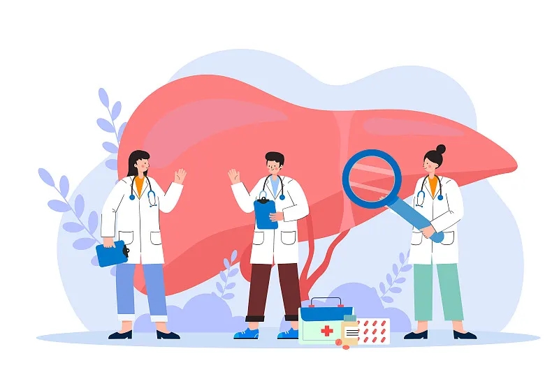 間充質(zhì)干細胞治療肝病的新視角:恢復線(xiàn)粒體功能 間充質(zhì)干細胞治療肝病的新視角:恢復線(xiàn)粒體功能