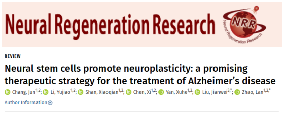 通過(guò)移植神經(jīng)干細胞來(lái)改善阿爾茨海默病小鼠的認知缺陷和海馬突觸的丟失 通過(guò)移植神經(jīng)干細胞來(lái)改善阿爾茨海默病小鼠的認知缺陷和海馬突觸的丟失