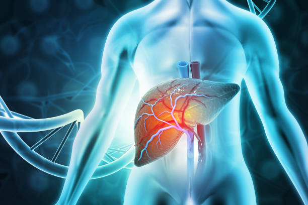 干細胞治療肝病的臨床前景與研究現狀的綜述 干細胞治療肝病的臨床前景與研究現狀的綜述