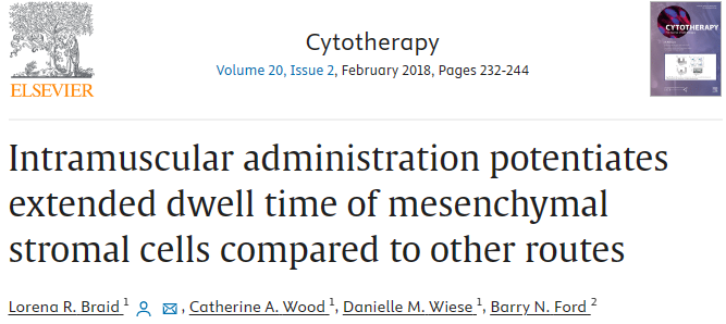 與其他途徑相比，肌肉注射可以延長(cháng)間充質(zhì)基質(zhì)細胞的停留時(shí)間