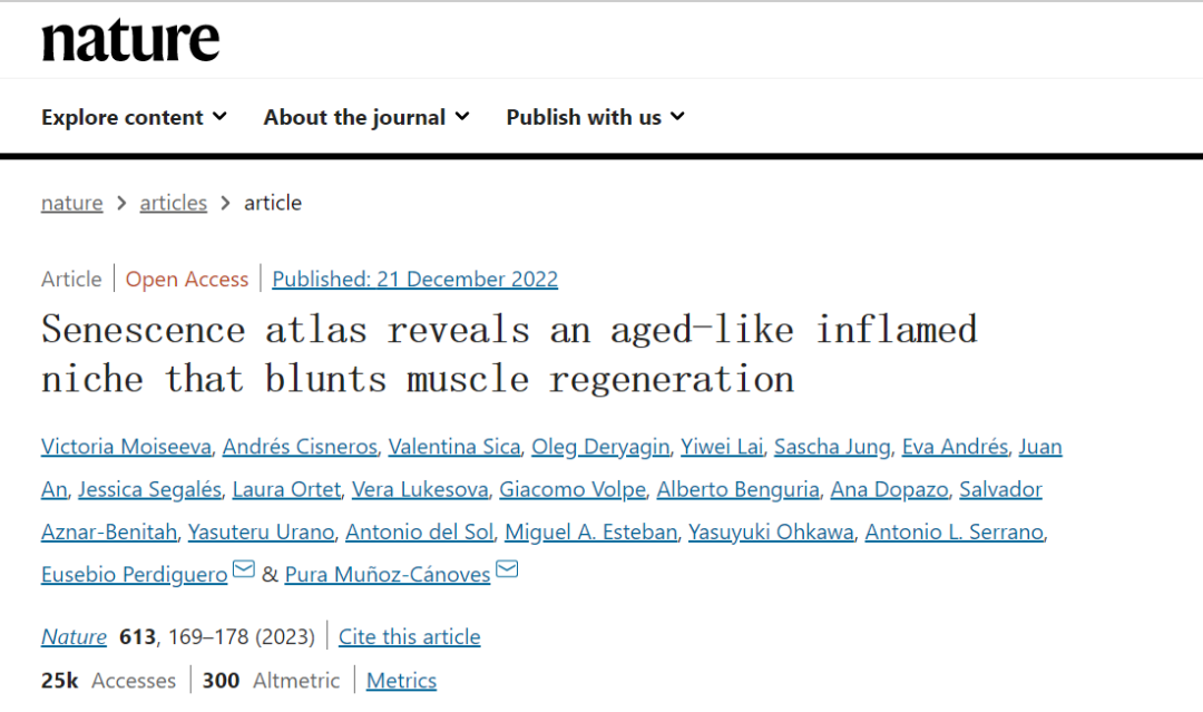 衰老圖譜揭示了一個(gè)類(lèi)似衰老的發(fā)炎生態(tài)位，會(huì )阻礙肌肉再生
