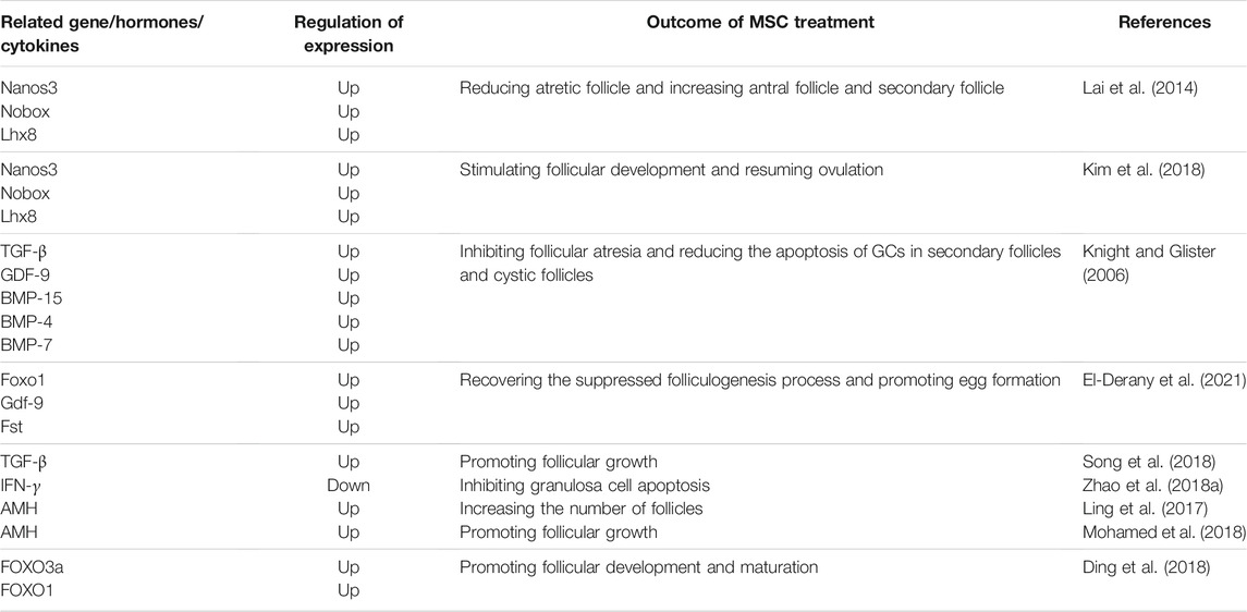 表2間充質(zhì)干細胞對卵泡發(fā)育的影響