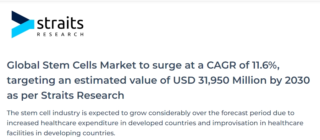 全球干細胞市場(chǎng)復合年增長(cháng)率將達到11.6%，預計到2030年價(jià)值將達到319.5億美元