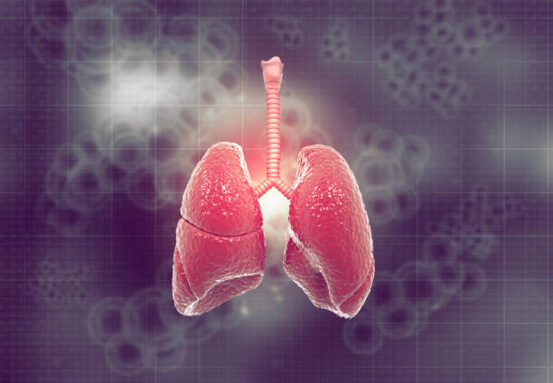 肺纖維化：干細胞治療是前進(jìn)的方向嗎？