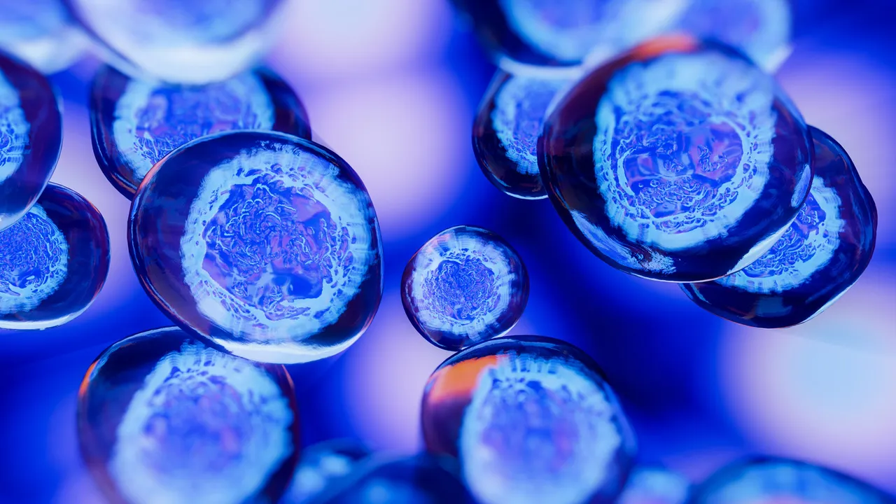 什么是細胞療法簡(jiǎn)介 什么是細胞療法簡(jiǎn)介