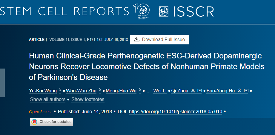 人類(lèi)臨床級孤雌生殖 ESC 衍生的多巴胺能神經(jīng)元可恢復非人類(lèi)靈長(cháng)類(lèi)動(dòng)物帕金森病模型的運動(dòng)缺陷