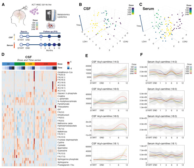 初步的試驗結果顯示，大多數參與者在治療后表現出一定程度的神經(jīng)功能改善。