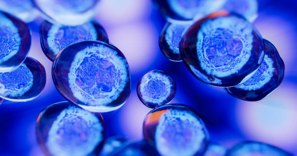 人間充質(zhì)干細胞藥物的開(kāi)發(fā)及臨床應用