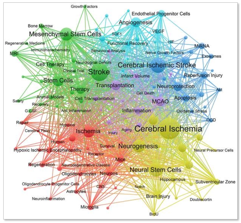 圖6：頻率至少為20的關(guān)鍵詞共現網(wǎng)絡(luò )。節點(diǎn)的大小代表關(guān)鍵詞出現的次數。線(xiàn)條代表不同關(guān)鍵字之間的聯(lián)系。顏色代表不同的簇。