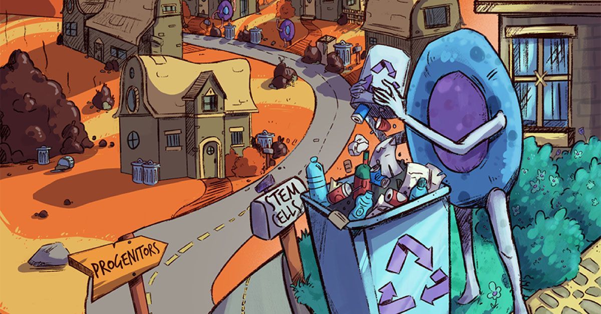 干細胞必須清除垃圾才能抵御衰老