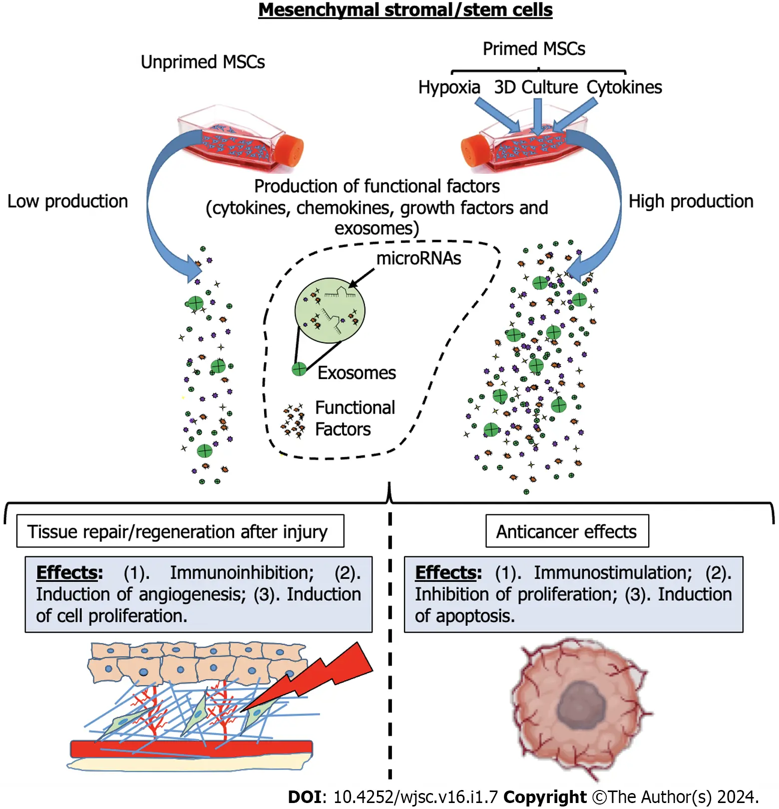 圖1：間充質(zhì)基質(zhì)/干細胞啟動(dòng)后增強的治療效果的示意圖