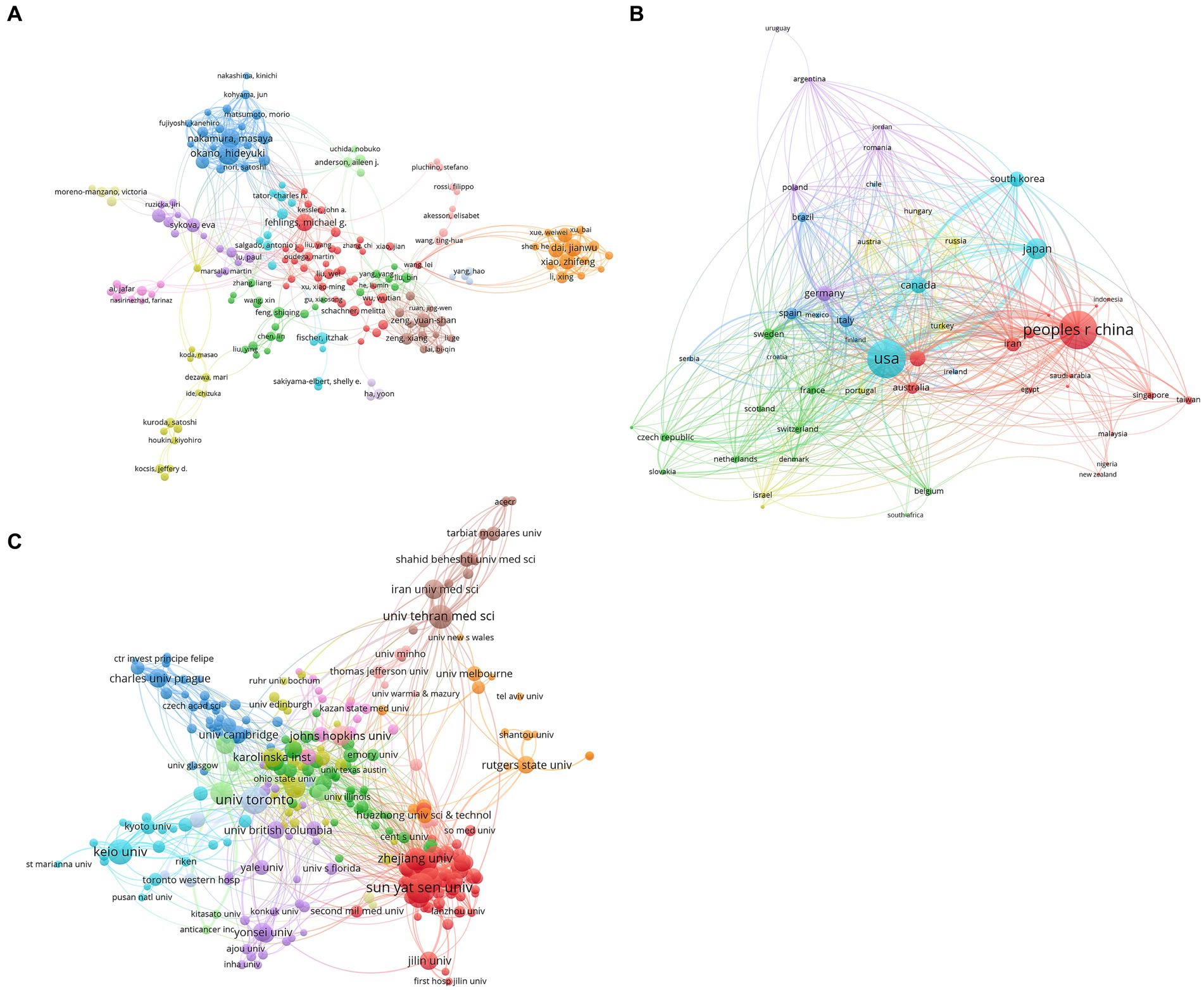 圖4：干細胞治療脊髓損傷研究的合著(zhù)者分析。