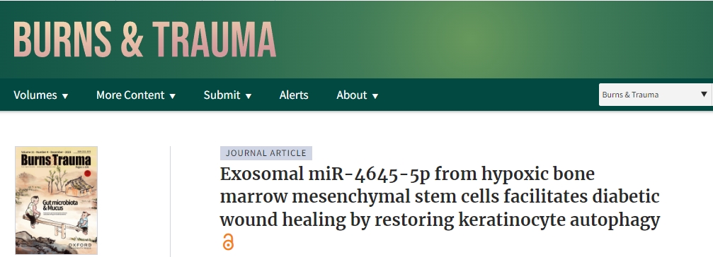 我國研究人員開(kāi)創(chuàng  )了用于糖尿病傷口愈合的新型干細胞療法