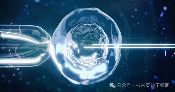 干細胞療法如何減緩肺部疾病的癥狀？