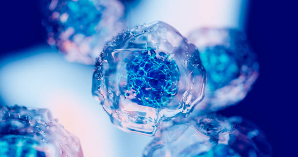 2024年重磅更新：藥監局公布間充質(zhì)干細胞新藥，適應治療的46種疾病名單！